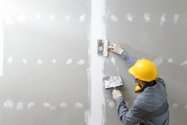 Trusted Jellico, TN Mold Removal Experts