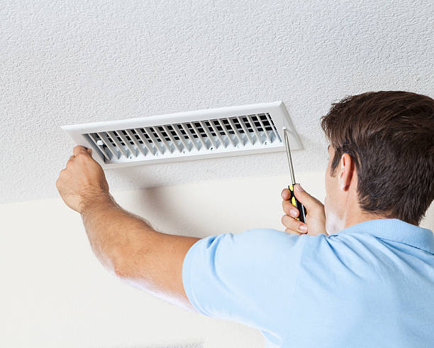 Best Commercial Mold Inspection  in Jellico, TN