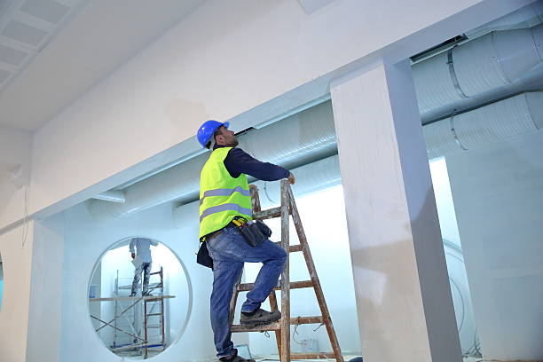 Best Attic Mold Removal  in Jellico, TN